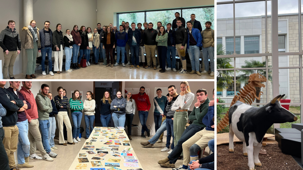 Copie de Blue Modern Collage LinkedIn Post (Présentation)